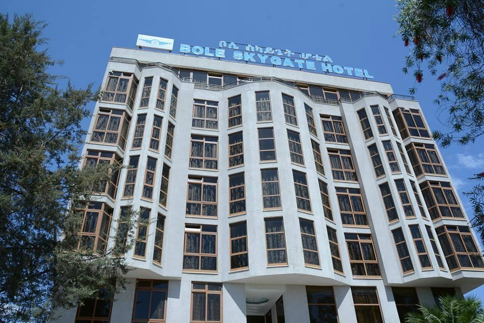אדיס אבבה Bole Skygate Hotel מראה חיצוני תמונה
